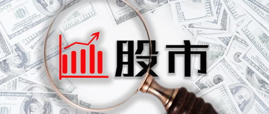 價值投資入門 凈資產收益率的解讀與運用